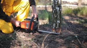  , USA Tree Care Services Pros